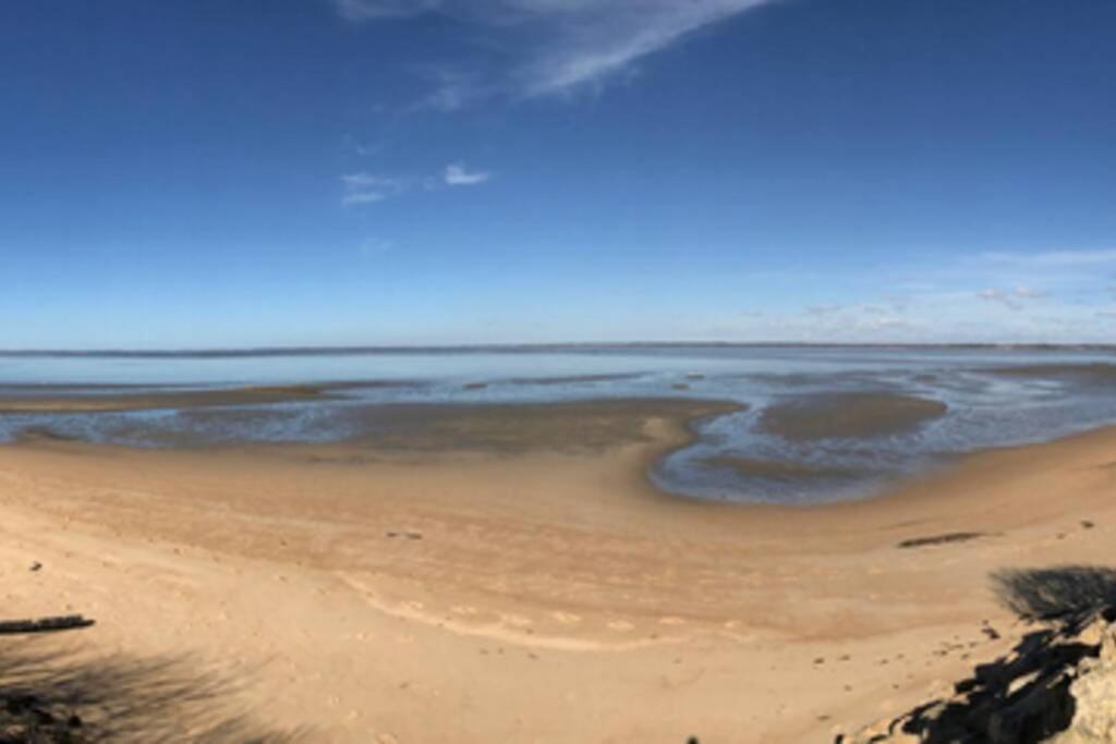 La Cabane De Carol Au Coeur Du Bassin D'Arcachon Le Teich Exteriör bild