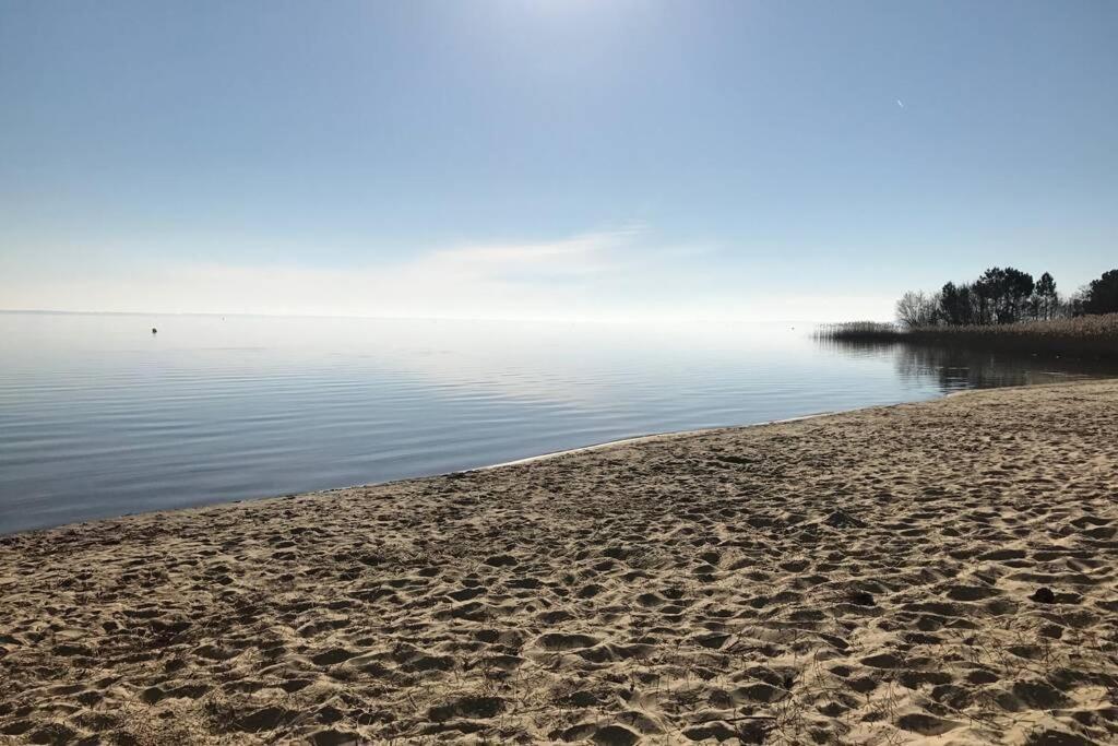 La Cabane De Carol Au Coeur Du Bassin D'Arcachon Le Teich Exteriör bild