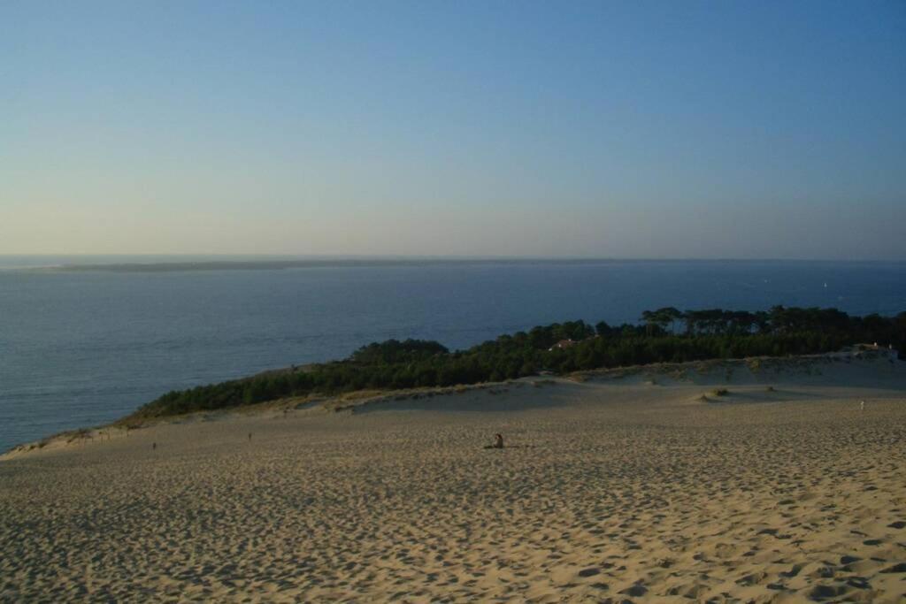 La Cabane De Carol Au Coeur Du Bassin D'Arcachon Le Teich Exteriör bild