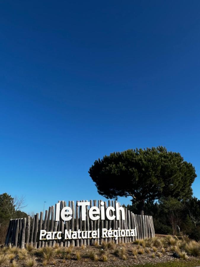 La Cabane De Carol Au Coeur Du Bassin D'Arcachon Le Teich Exteriör bild